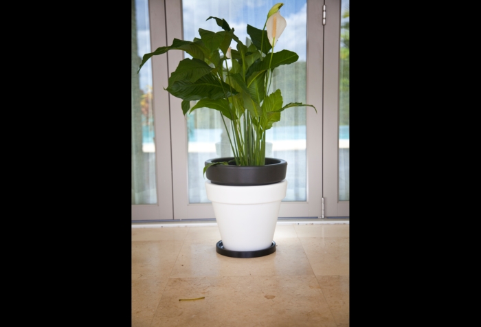 Vinaora Nivo Slider